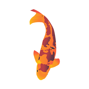 koi-2